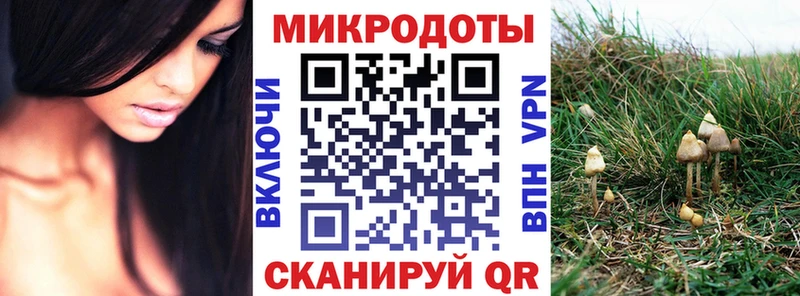 Галлюциногенные грибы Psilocybine cubensis  Купить где  Михайловск 